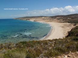 763411 20240615 183017