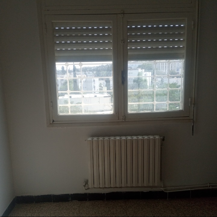 775574 20240610 105948