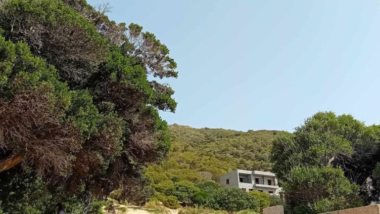 Terrain pieds gans l'eau vue sur mer