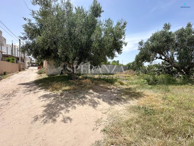 Terrain &agrave; vendre Hammamet