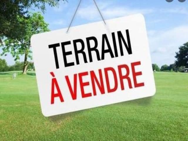 779076 20240622 154421