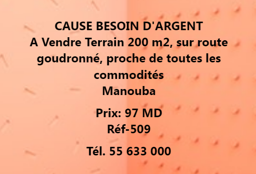 781815 20240603 093411