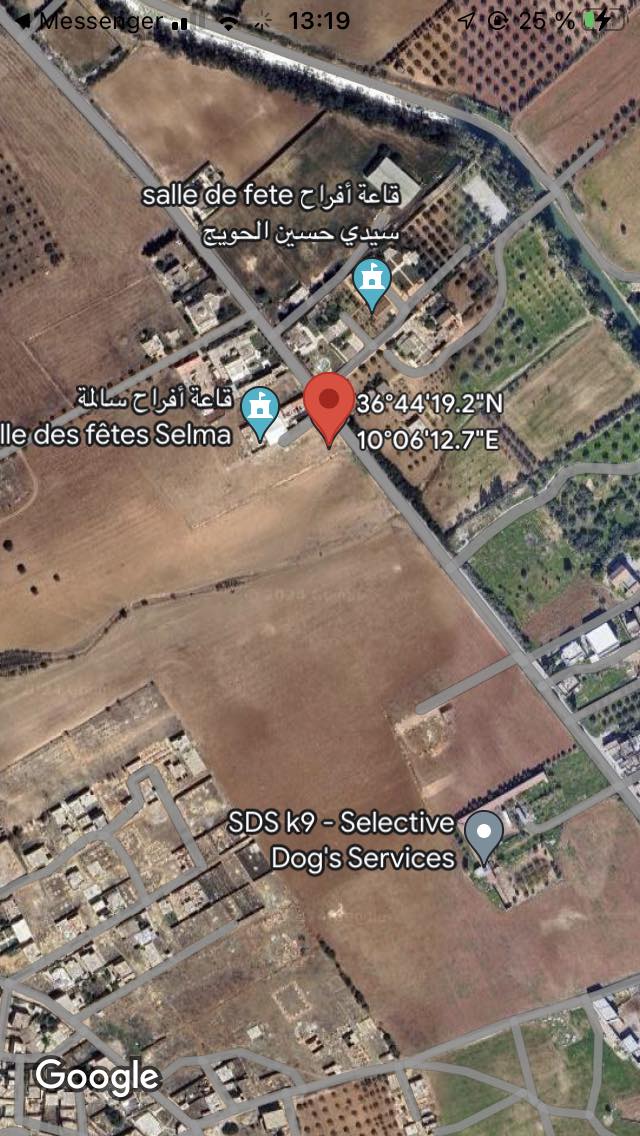 782682 20240531 104332