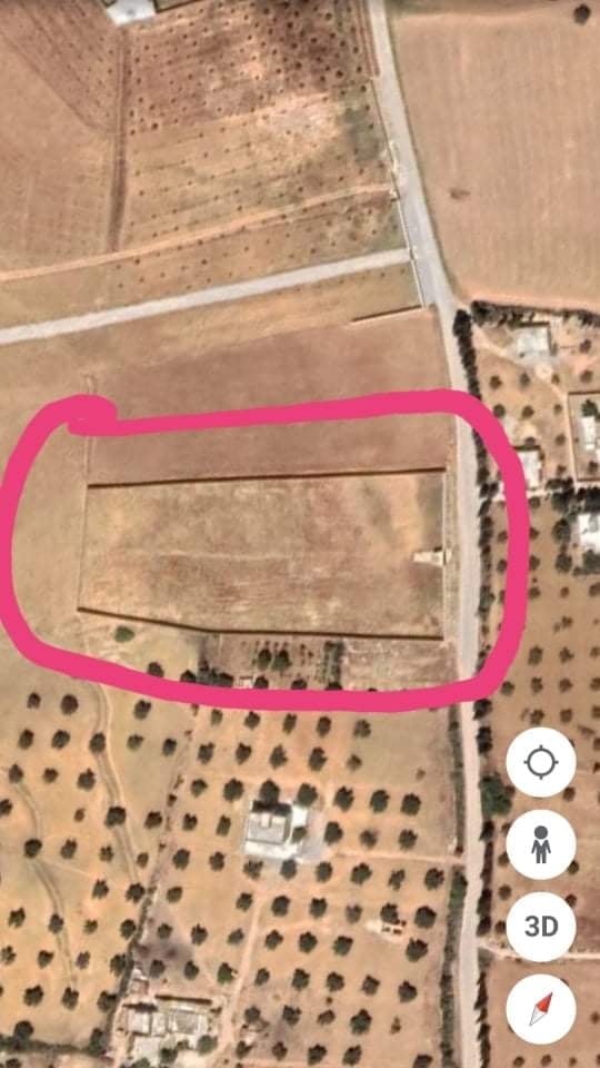 783821 20240531 130522