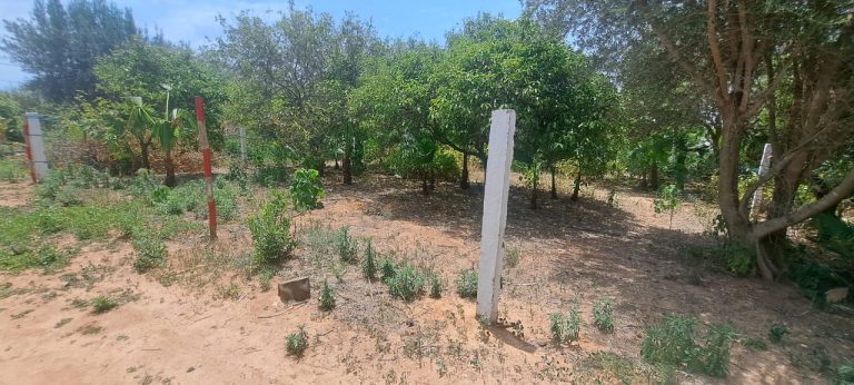 Des terrain 234m ou 364m