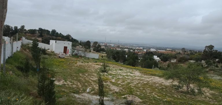 784548 20240613 120601 768x364