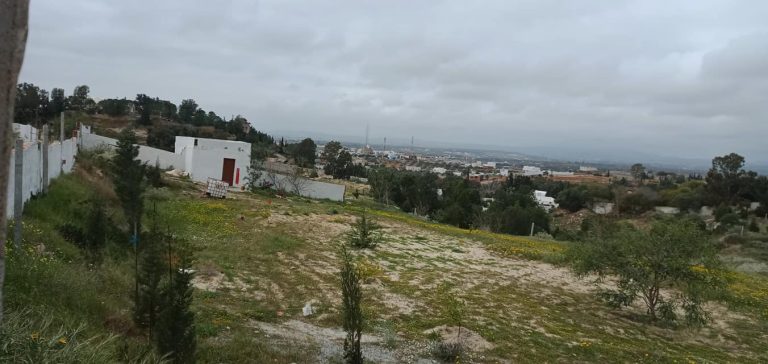Terrain de 1000m route birbouregba