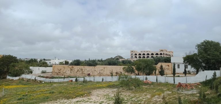 Terrain de 1000m route birbouregba