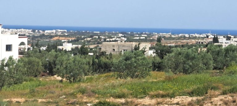 784548 20240613 130308 768x346