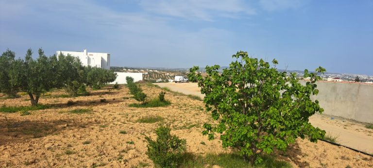 1000m &agrave; sidi hammed avec belle vue