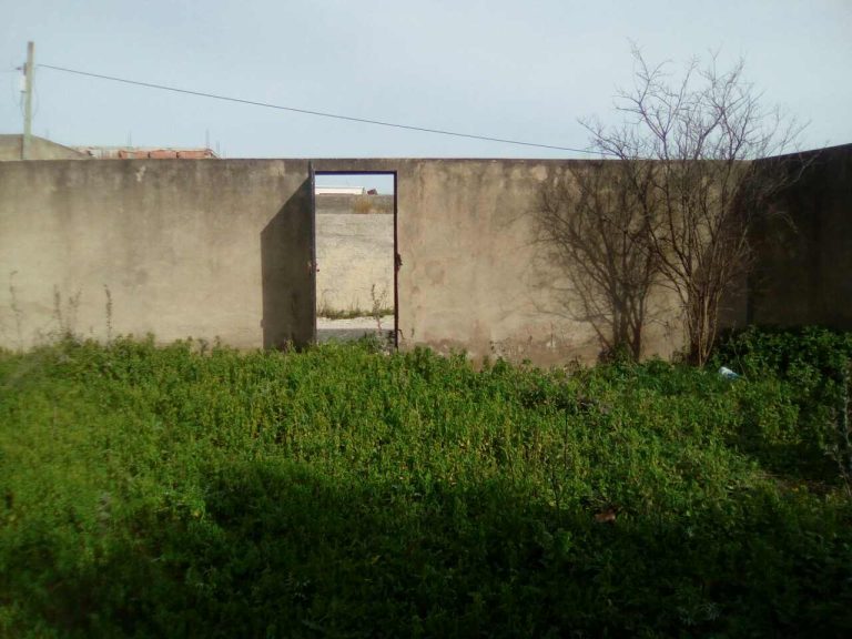 Terrain 500m cl&ocirc;tur&eacute; avec titre bleu &agrave; raoued