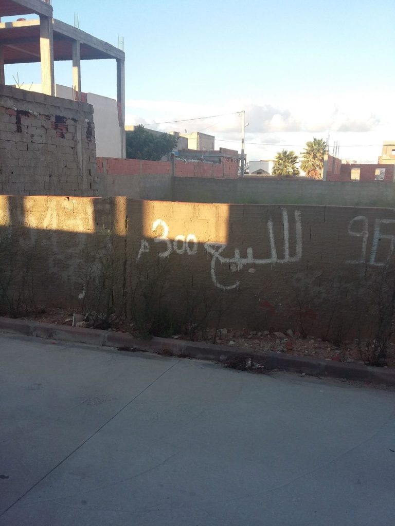 Terrain &agrave; raoued plage