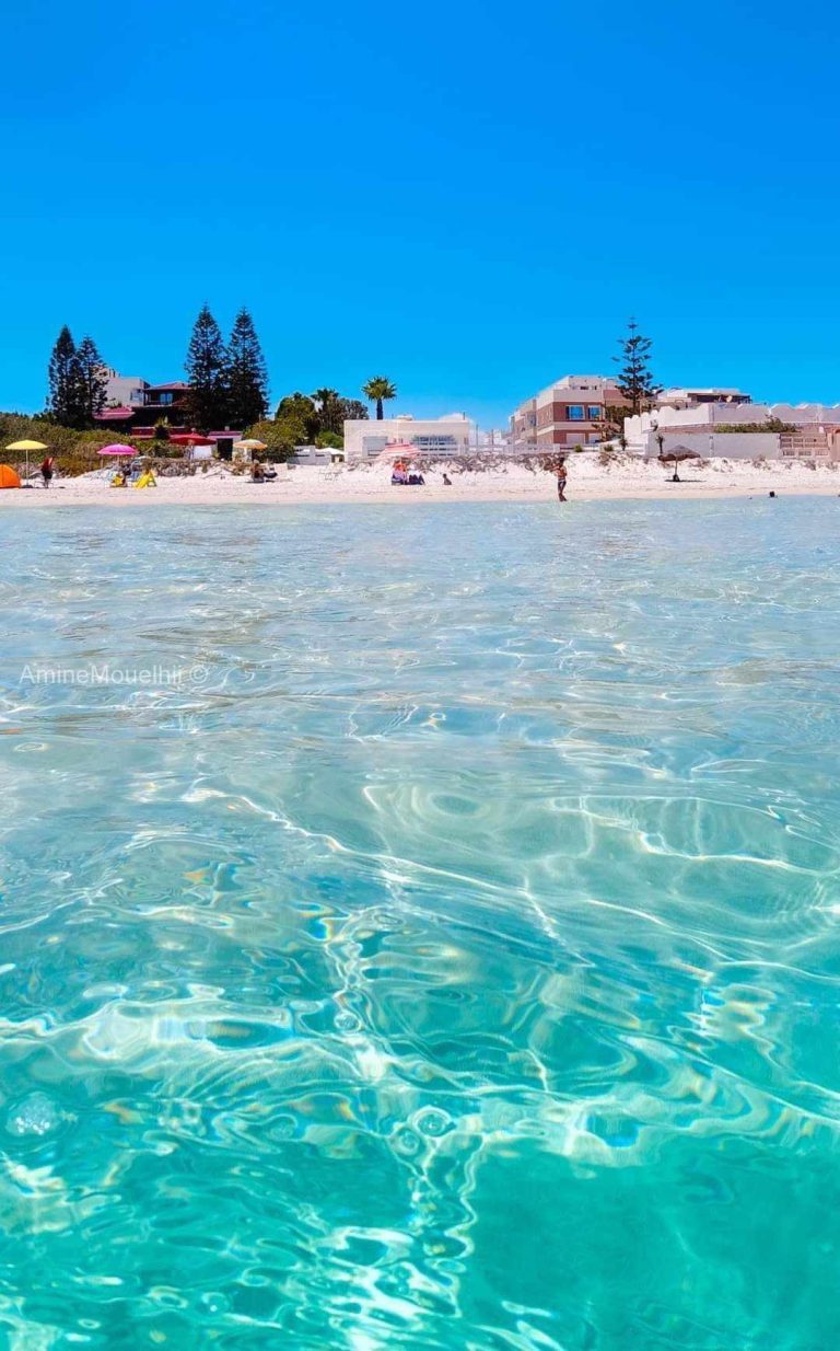 Superbe lot de terrain commercial bord de mer