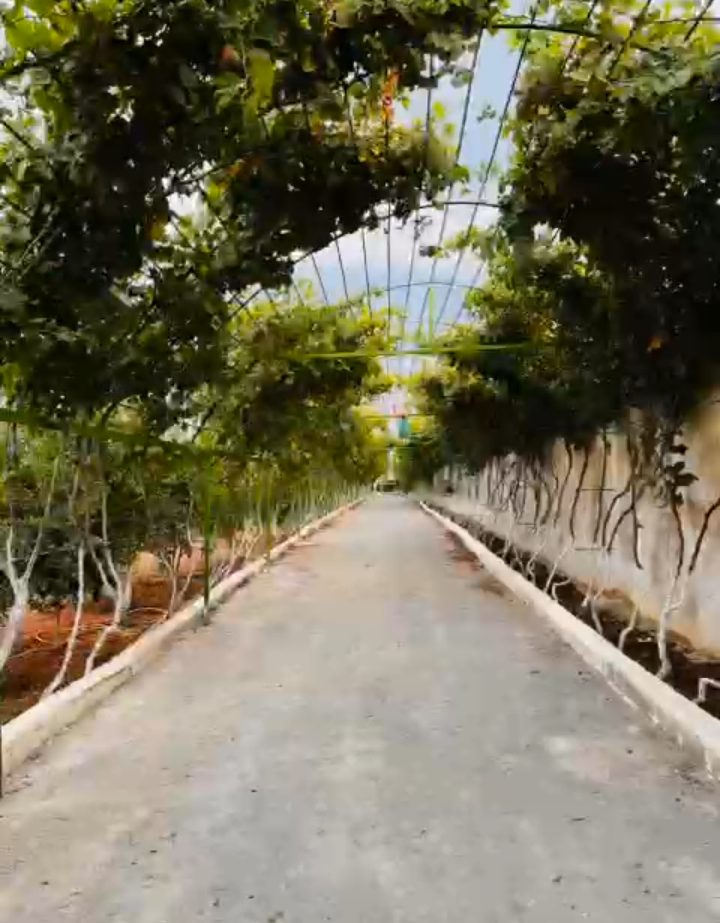 640596 20240708 163118