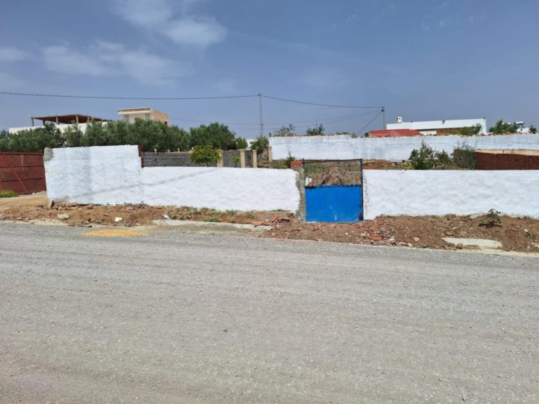 643121 20240722 001228 768x576