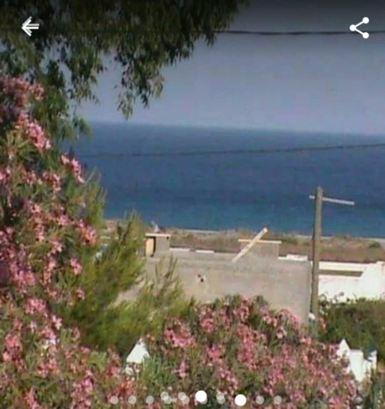 Av terrain &agrave; chat ezzouhour