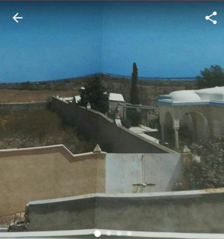 Av terrain &agrave; chat ezzouhour