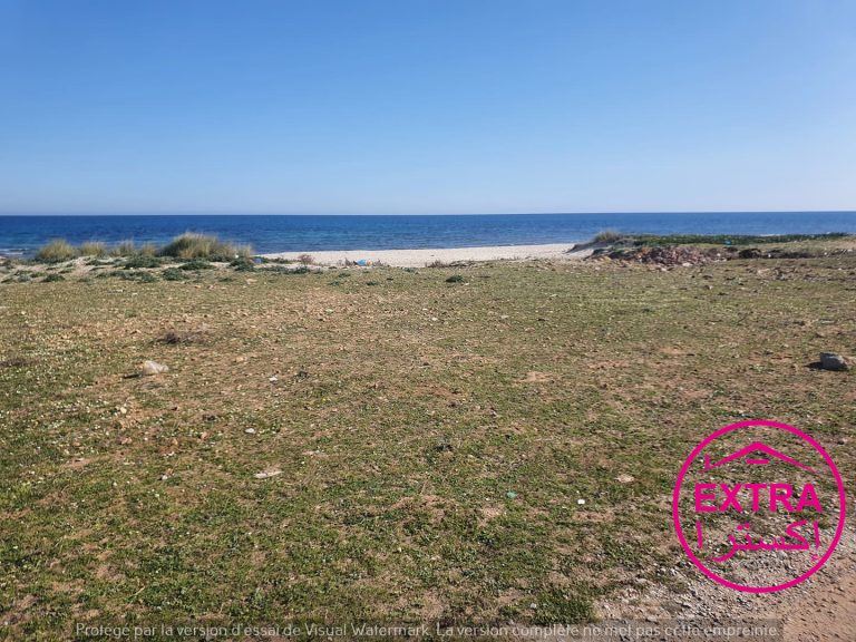 730168 20240705 102648 768x576