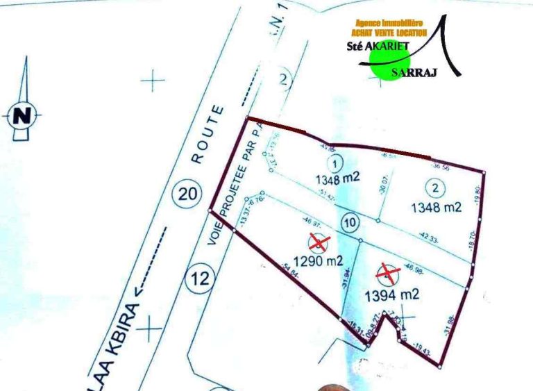 733199 20240713 121709 768x563