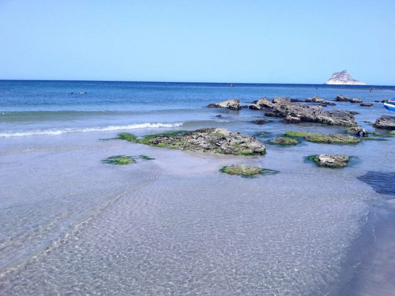 Terrain 170 m2 rafraf plage lahmeri