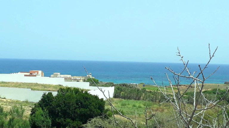 Terrain 1000 m2 600 m2 ain mestir rafraf plage