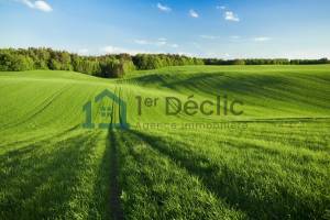 739829 20240719 142705