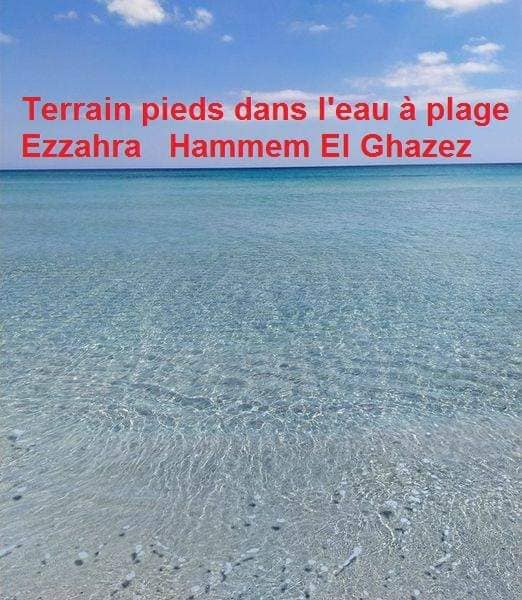 Terrain les pieds dans l'eau