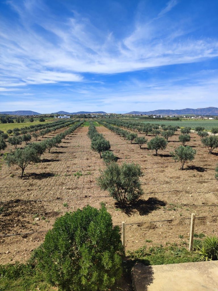 760946 20240713 123820 768x1024