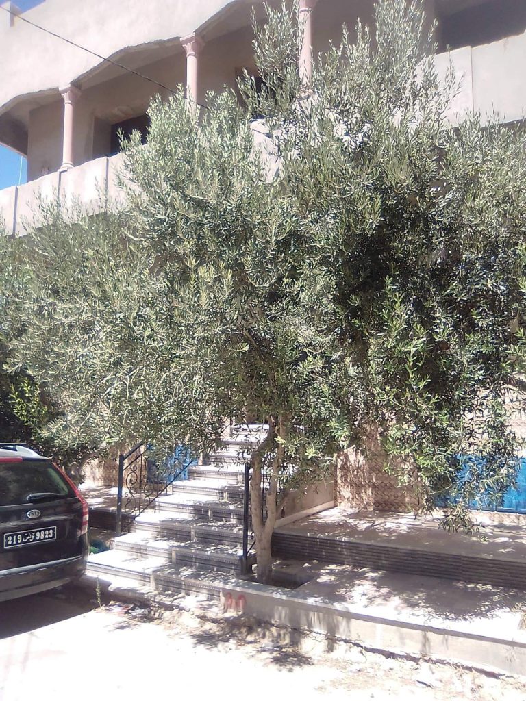 Belle maison neuve et appart en 1er &eacute;tage inachev&eacute;