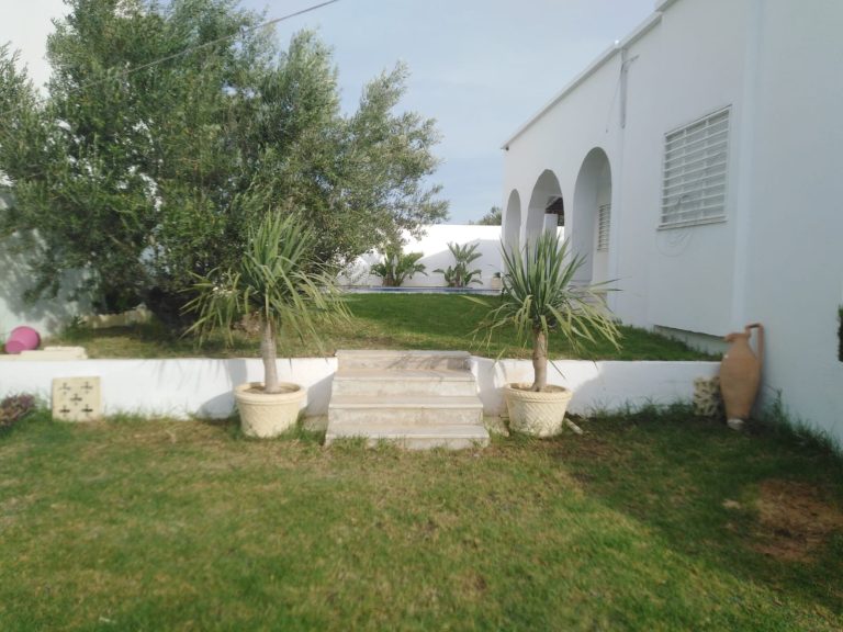 770319 20240703 134212 768x576