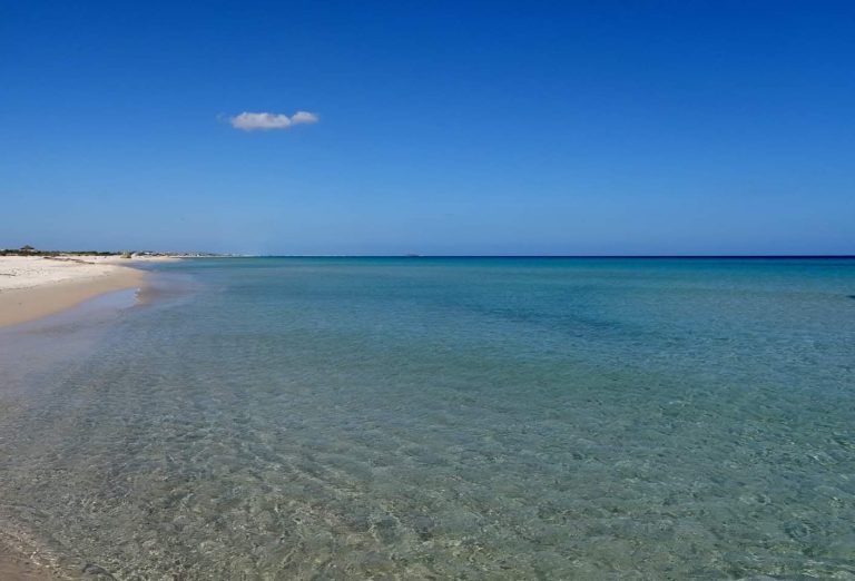 Votre terrain d'avenir pied dans l'eau