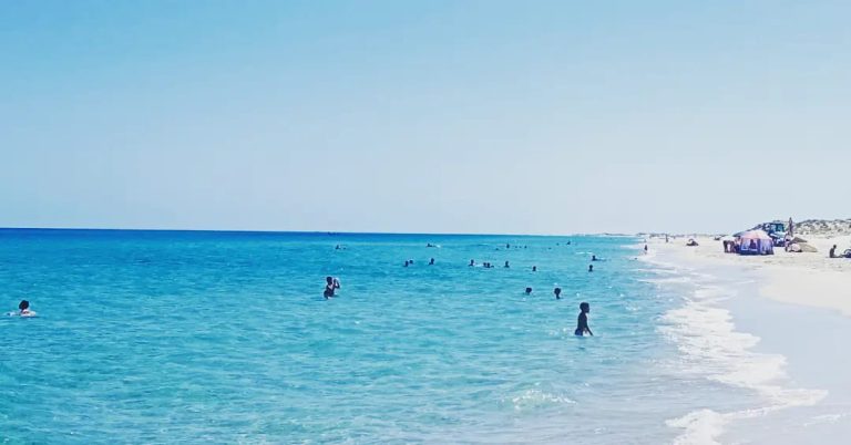 Un superbe terrain pied dans l'eau