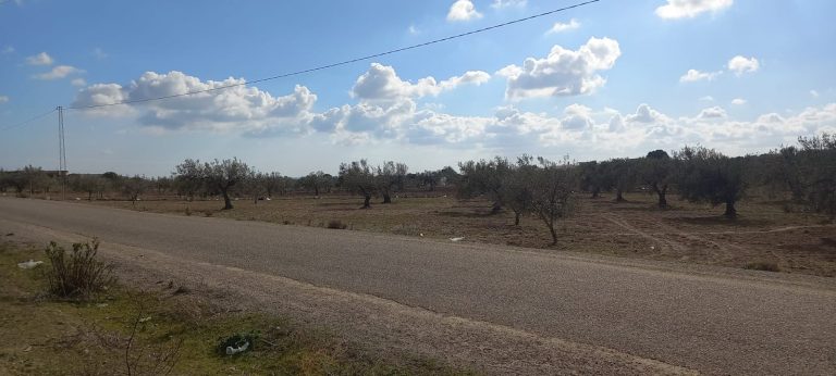 Terrain agricole sidi methir hammamet