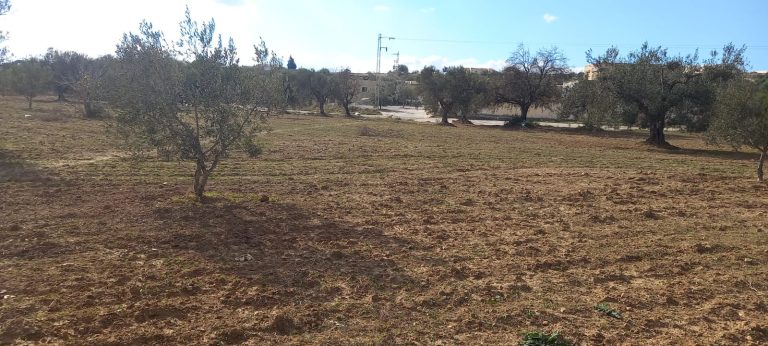 Terrain agricole sidi methir hammamet