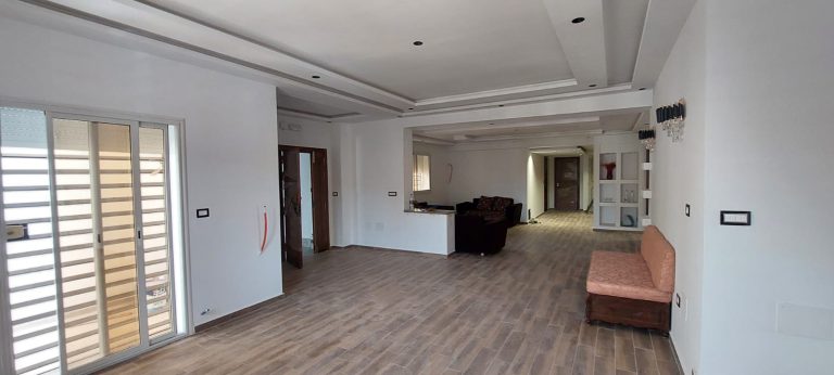 785175 20240719 133918 768x346