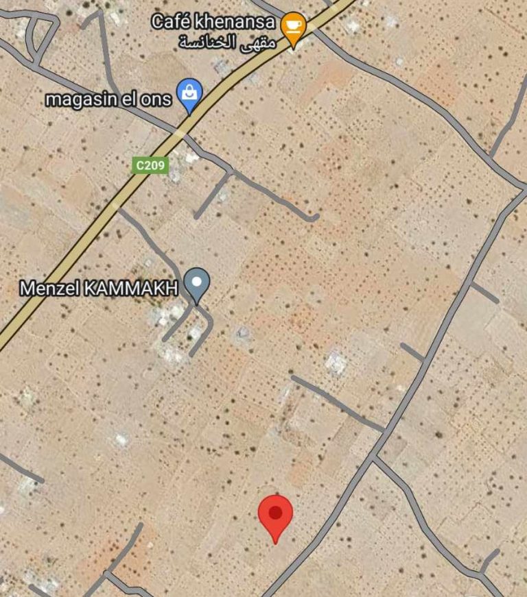 785220 20240711 203656 768x871