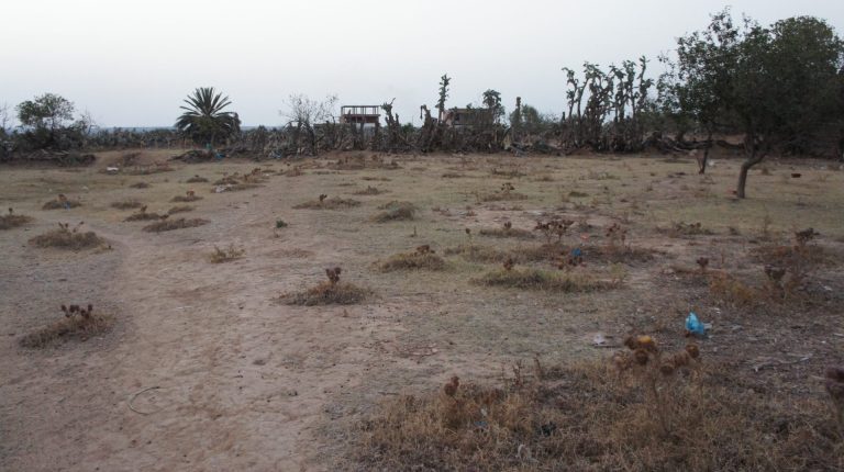 785278 20240714 233822 768x430