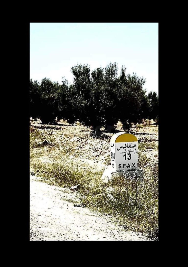 Terrain route saltniya km 13
