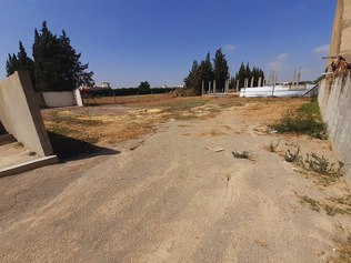 Terrain nu de 800 metre carre a mornag