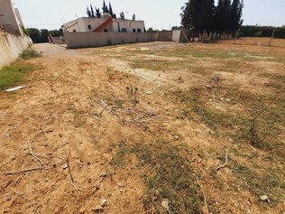 Terrain nu de 800 metre carre a mornag