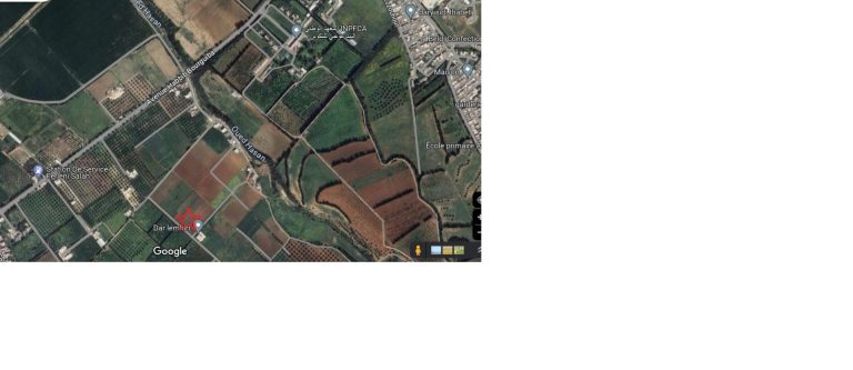 Terrain de 1000 m id&eacute;al pour villa