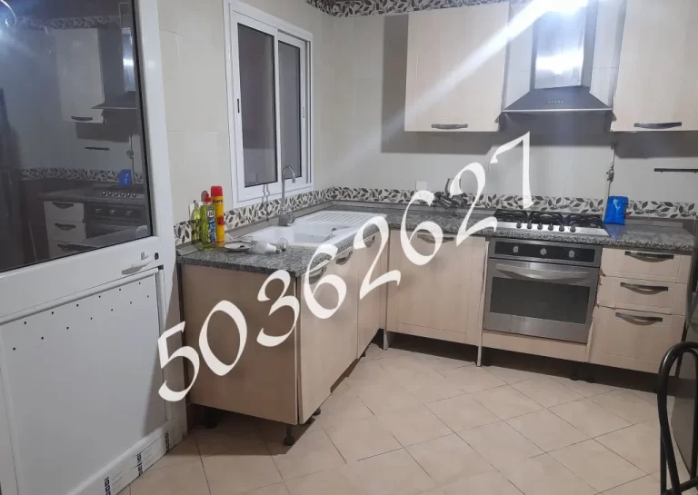 Appt s plus 3 avec deux ppkg et un cellier