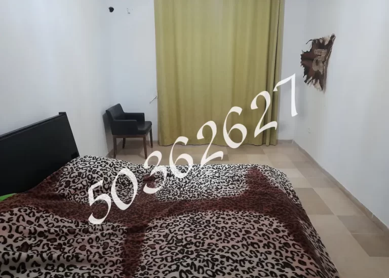 Appt s plus 3 avec deux ppkg et un cellier