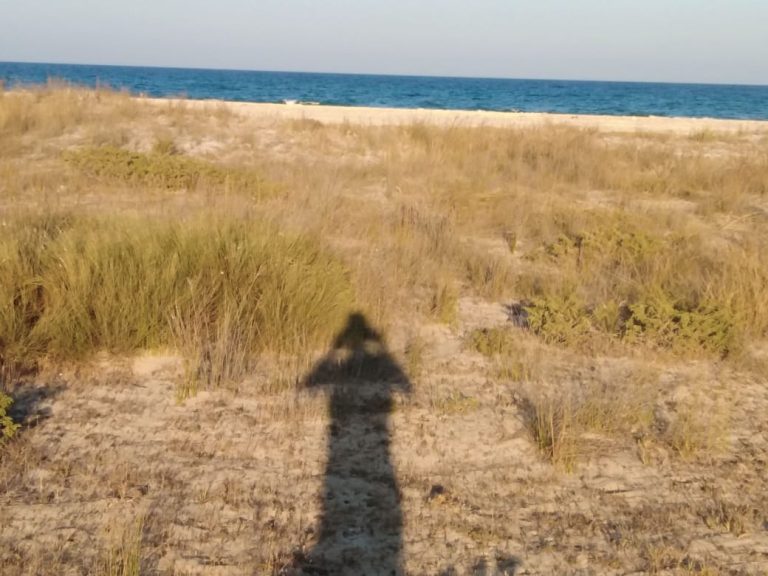 Terrain pieds dans l'eau
