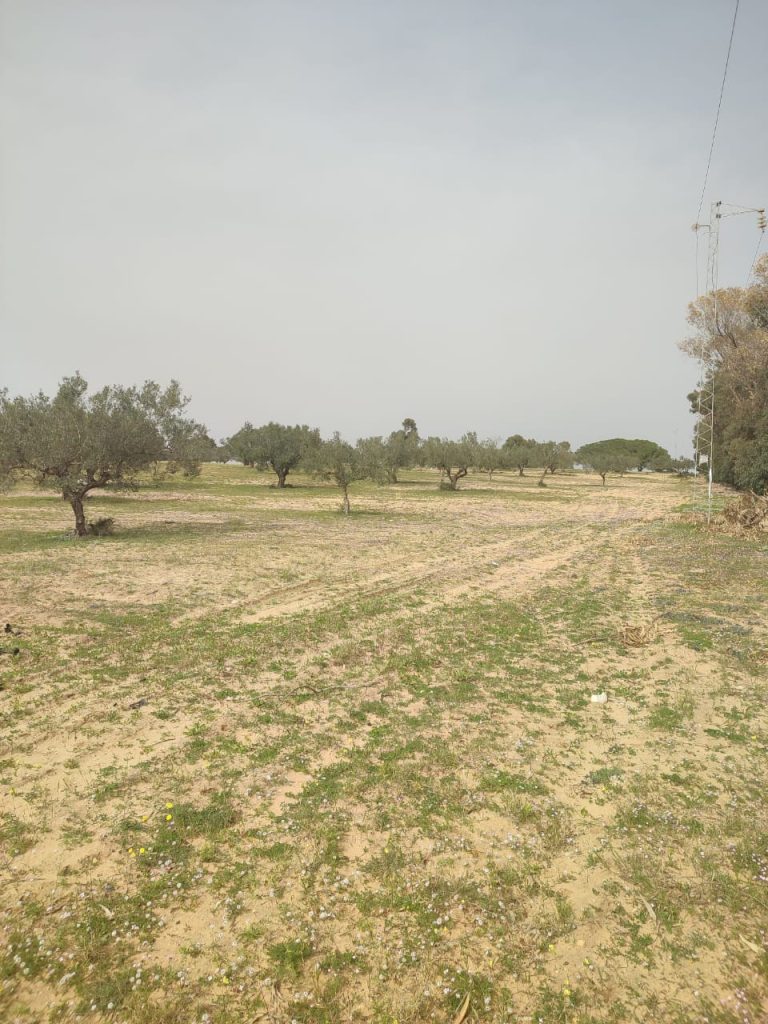 Terrain agricole pour votre futur investissement