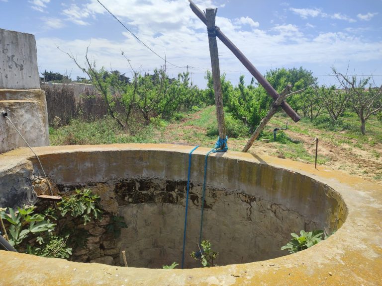 Terrain agricole clotur&eacute; a kelibia