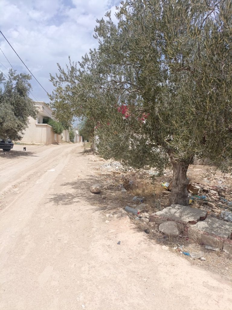 Av beau terrain de 200m &agrave; hammamet sud