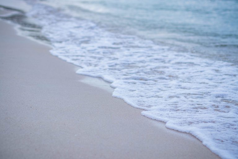 Une belle opportunit&eacute; d investir &agrave; ezzahra k&eacute;libia