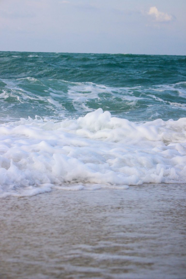 Une belle occasion pour les investisseur