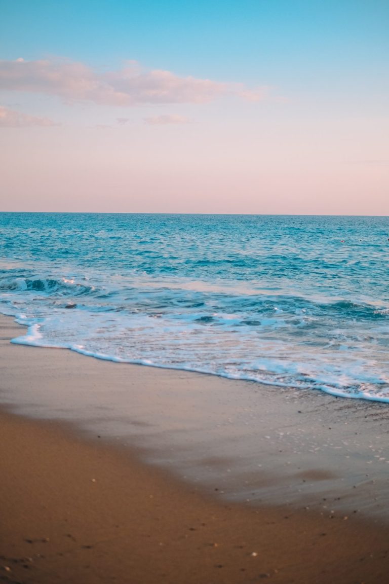 Iinestir dans un terrain de 1000 metre caree